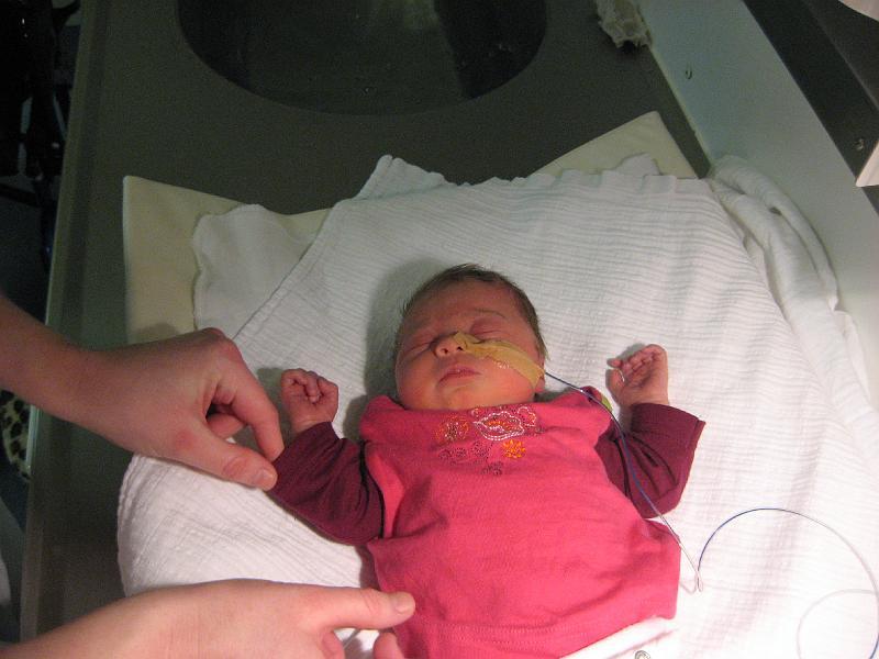 alle foto's januari2008 356.jpg